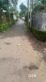 Plot for Sale in Cheruvannur Karuna Road