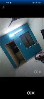 Professional bachelor roommate required