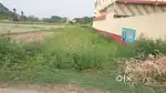Residential plot sale