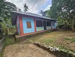 Traditional  Home