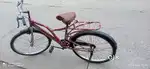 Renzer  cycle