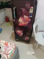 Girls pg with food