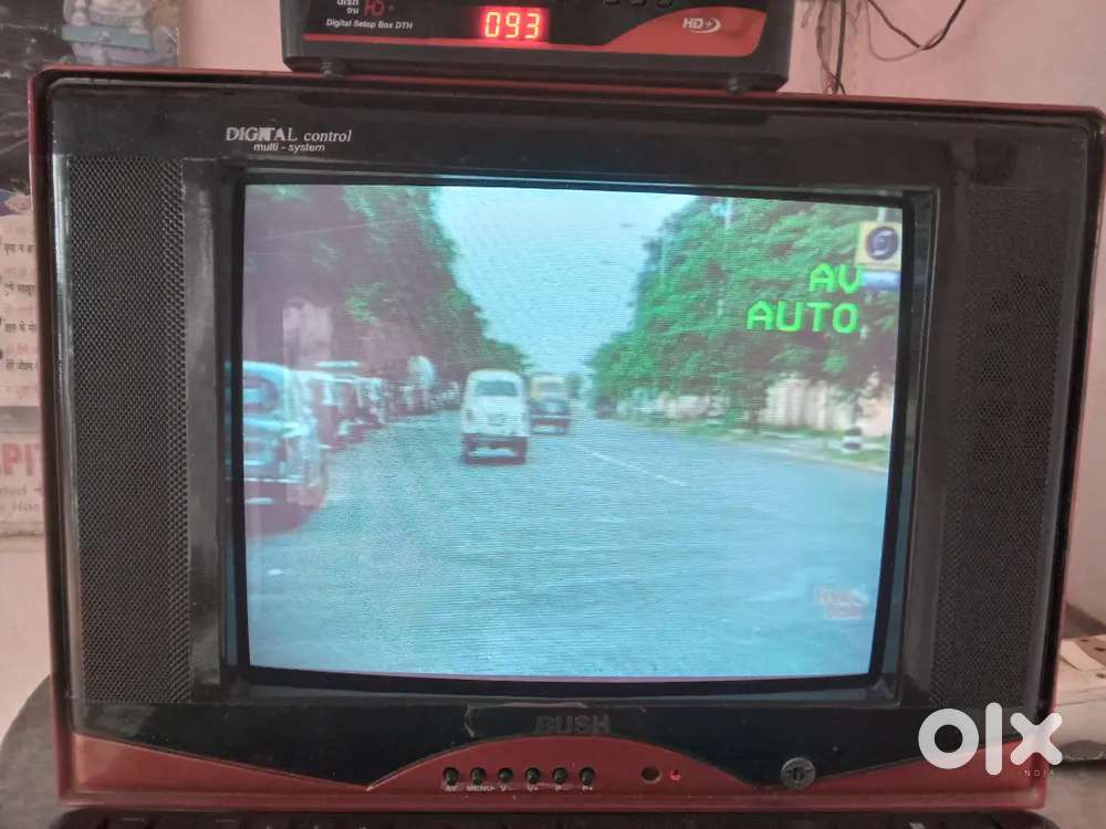 Bush tv he 1yars old he will box sab he