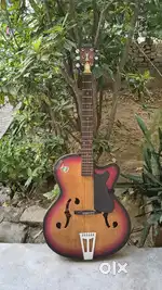 Beginner's Guitar
