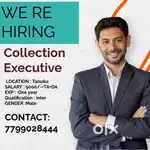 COLLECTION EXECUTIVE