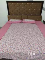 Brand new Cushioned Bed For sale