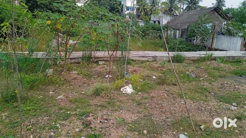 Farm land available near nellikuppam