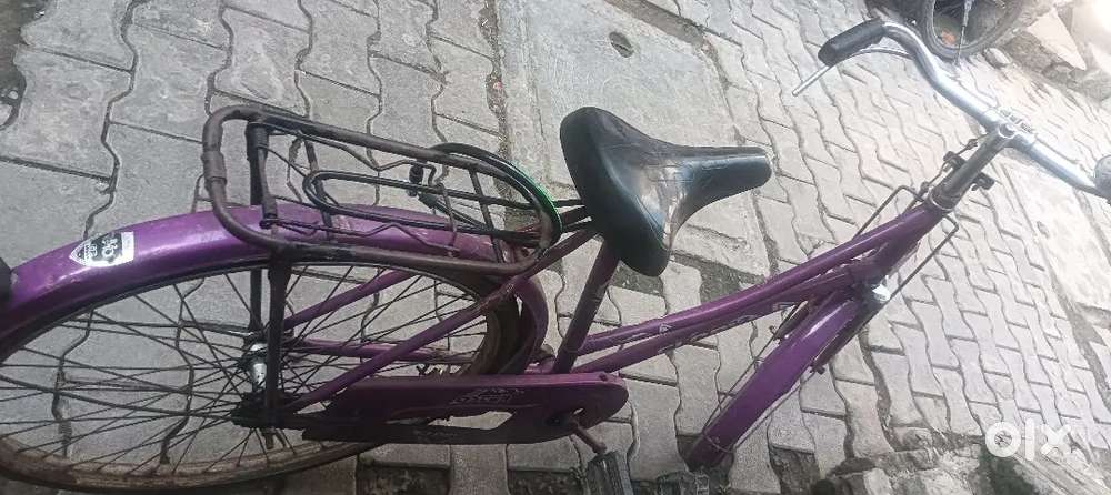 Ladies cycle