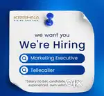 Marketing Executive