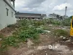 Sambhamurthy nagar..NORTH FACING SITE( 200 SQ.YDS)