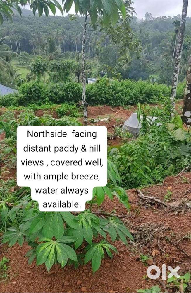 Outer Ring road corridor 96 cents