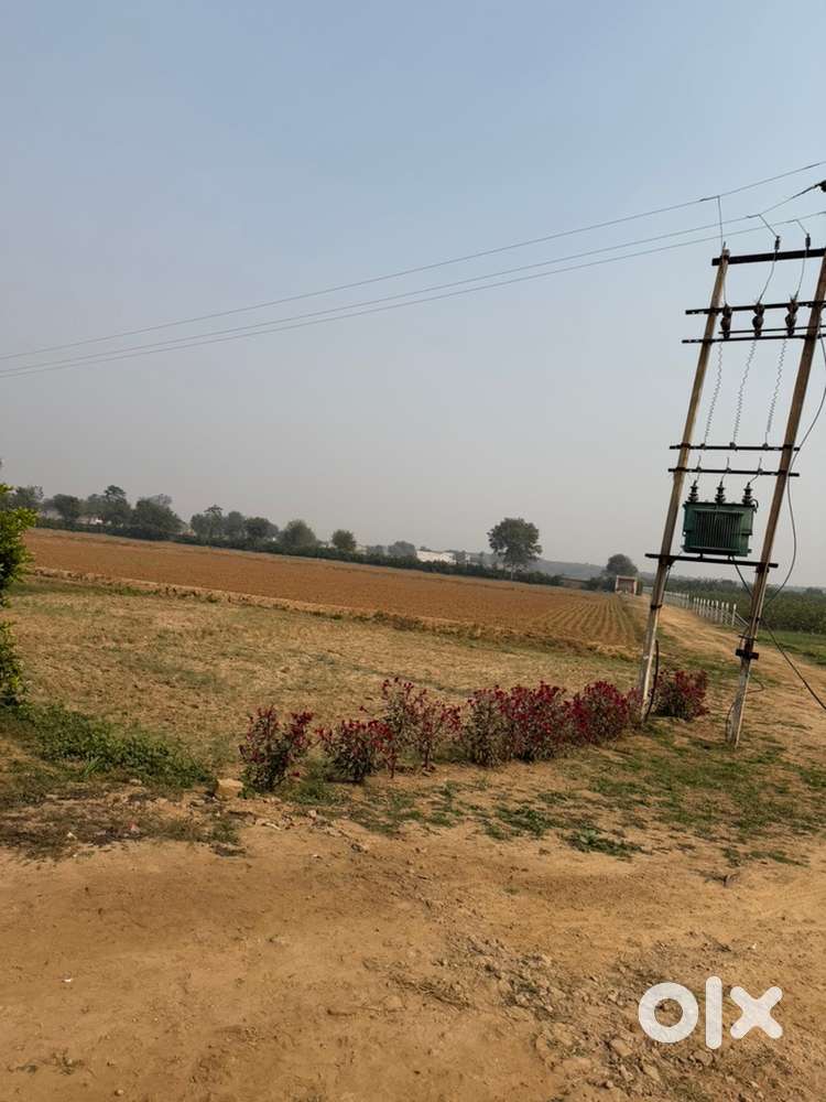 30 acre with 2 tubewell and fruits cultivation currently have l