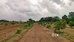 જમીન વેચવાની છે.