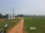 Plots for sale near sundarapandiam vilakku (mukku Road) sempatti