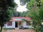20 cent plot with house for sale near Punalur Papermill