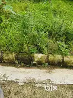 28*55(171 gaj) plot for sale near Indrash hospital dehrakhas