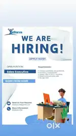 Sales executive
