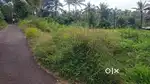 പുൽപ്പള്ളിയിൽ 20 സെൻ്റ് ഹൗസ് പ്ലോട്ട് വില്പനയ്ക്ക്