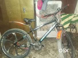 Because I have by new cycle
