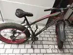 Fat tyre gear cycle