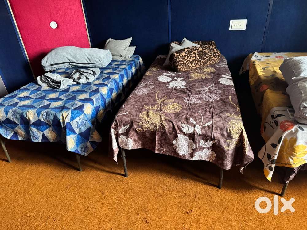 Single bed mattress + folding bed