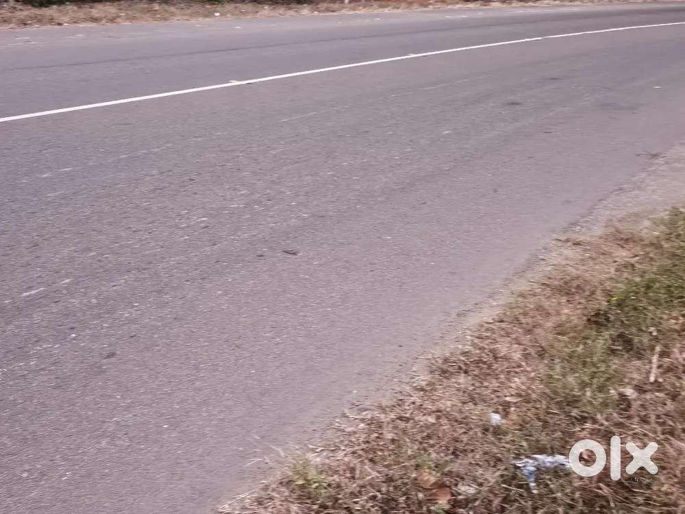 12 cent with 100 feet Pala Ponkunnam road frontage 7 lak per cent