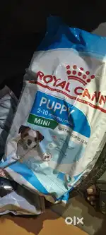 Royal cann
