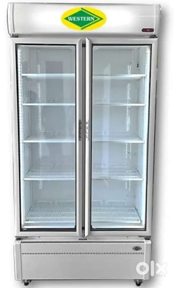 Westen Visi cooler new brand double door