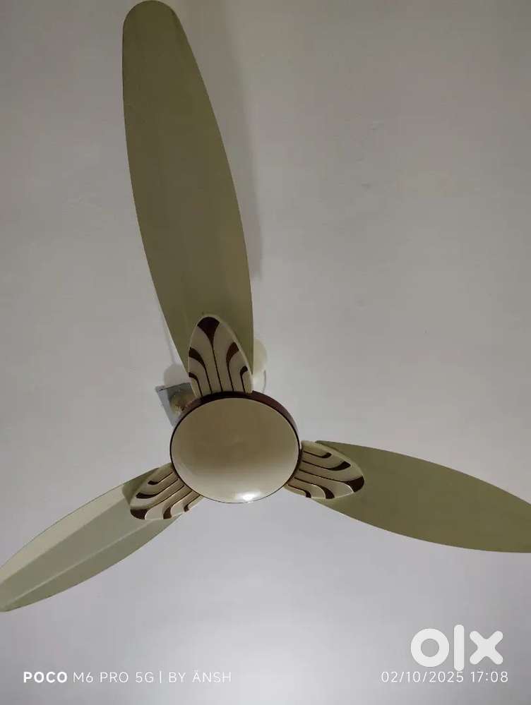 Ceiling fan