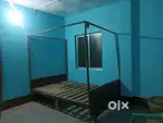 Rent house