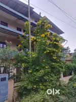 Furnished/Unfurnished Flat for rent