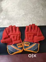 Wicket Keeping Gloves
