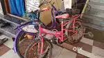 5-10year old (Pink) cycle for sale