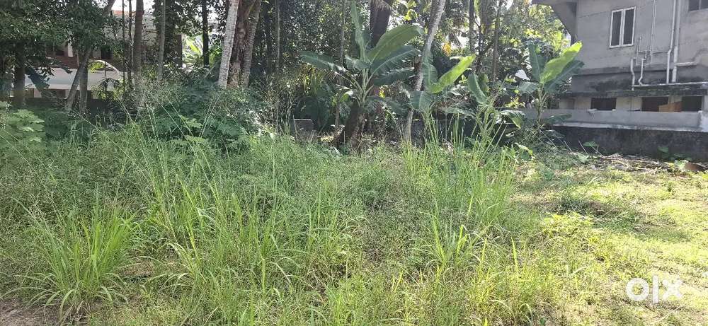 Kowdiyar pandit colony 5 /4.25 ] plot sale sale