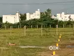Vettri velan Avenue kanchipuram