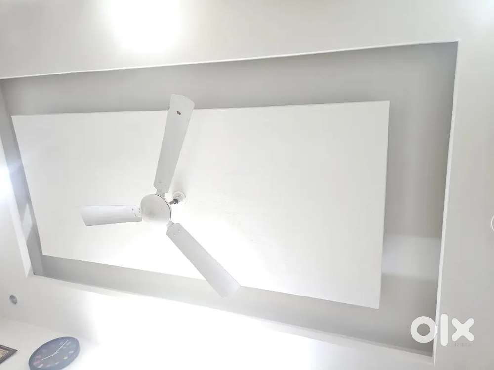 Fan Bajaj 48 inch white 1 pc +1 brown usha