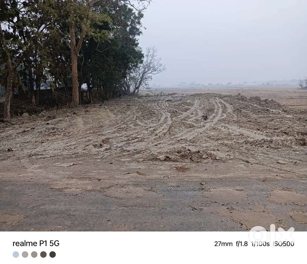 1bigha land for rent in near bijoynagar