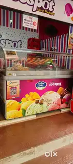 Western freezer 550 Liters Scooping Model