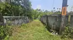 50 Cent plot for sale near kidangoor
