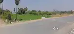 Plot for Sale