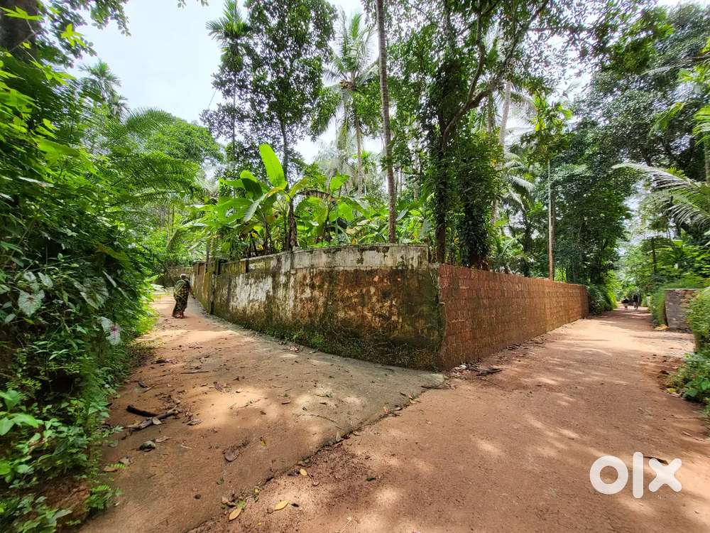 House and plot for sale
