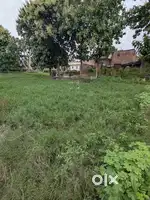 Plot for Sale – 54 x 35 SqFt– Ideal for Your Dream Home or Investment!