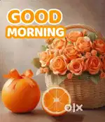 Need all rounder chef and cleaning person for our restaurant
