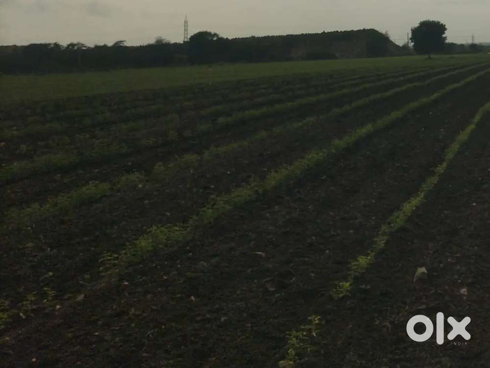 Land for sale in konakondla near HNSS CANAL In land