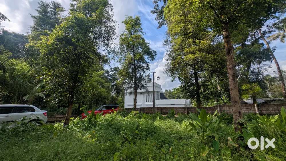 അങ്കമാലി നാഷണൽ ഹൈവേയിൽ നിന്ന് 4 km അകലത്തിൽ 10 cent സ്ഥലം വില്പനക്ക്