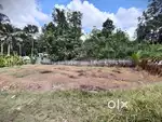 6.5 cent plot from 400meter from Aruvikkara Sree dharma shastha temple