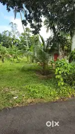 65-Cent Square Residential Plot for Sale
