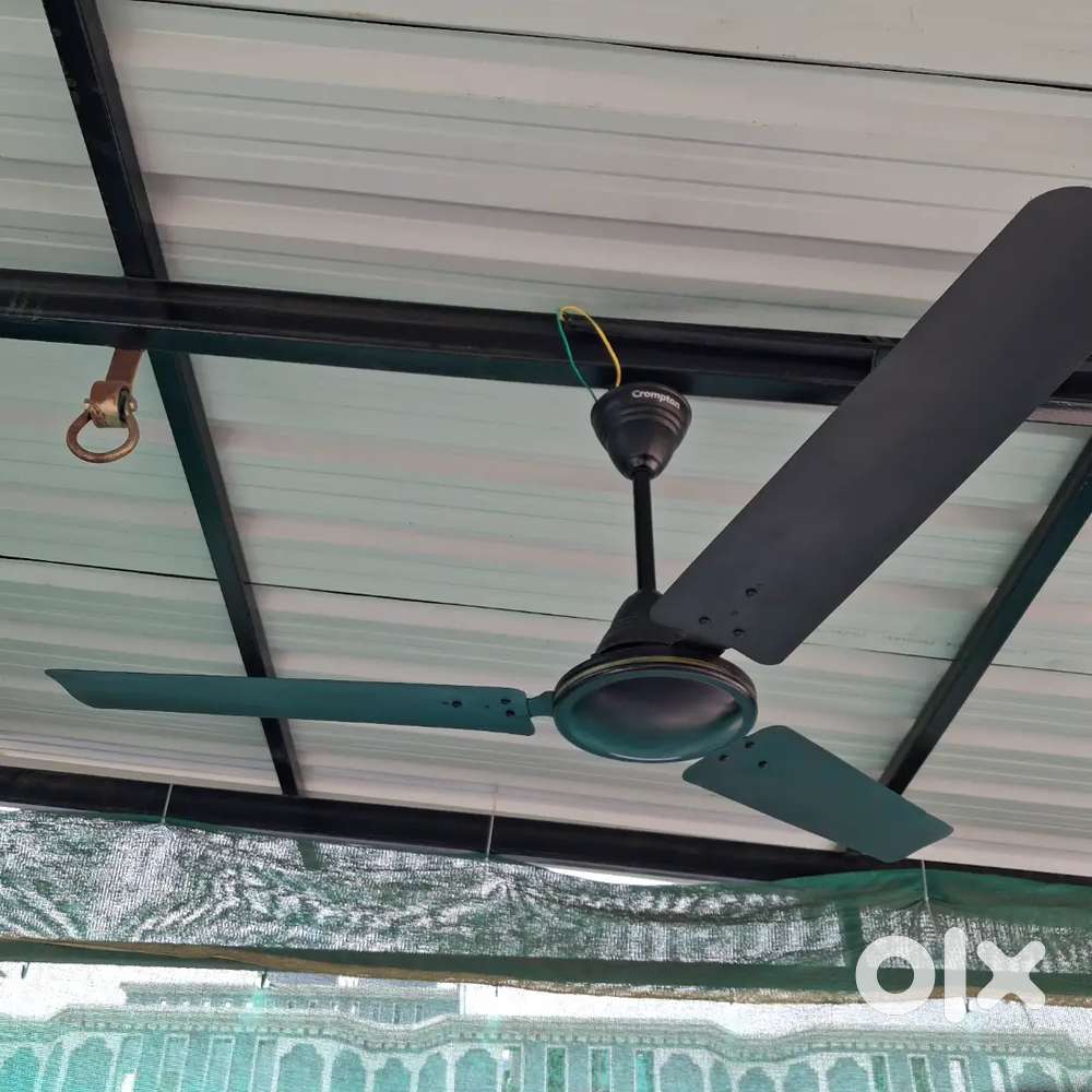 CROMPTON JURA PRIME CELING FAN FOR SALE