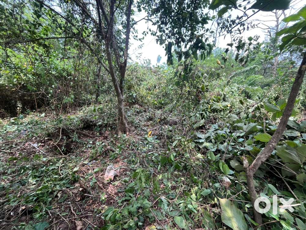 Setttlement plot for sale in shioda borim