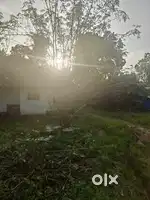 14 Cent Residential Land for Sale at Ponjassery MH Kavala Prime Spot